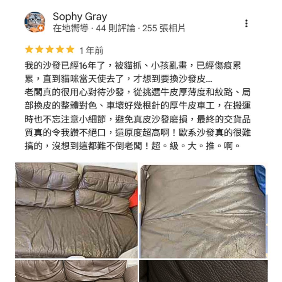Sophy Review Evidence