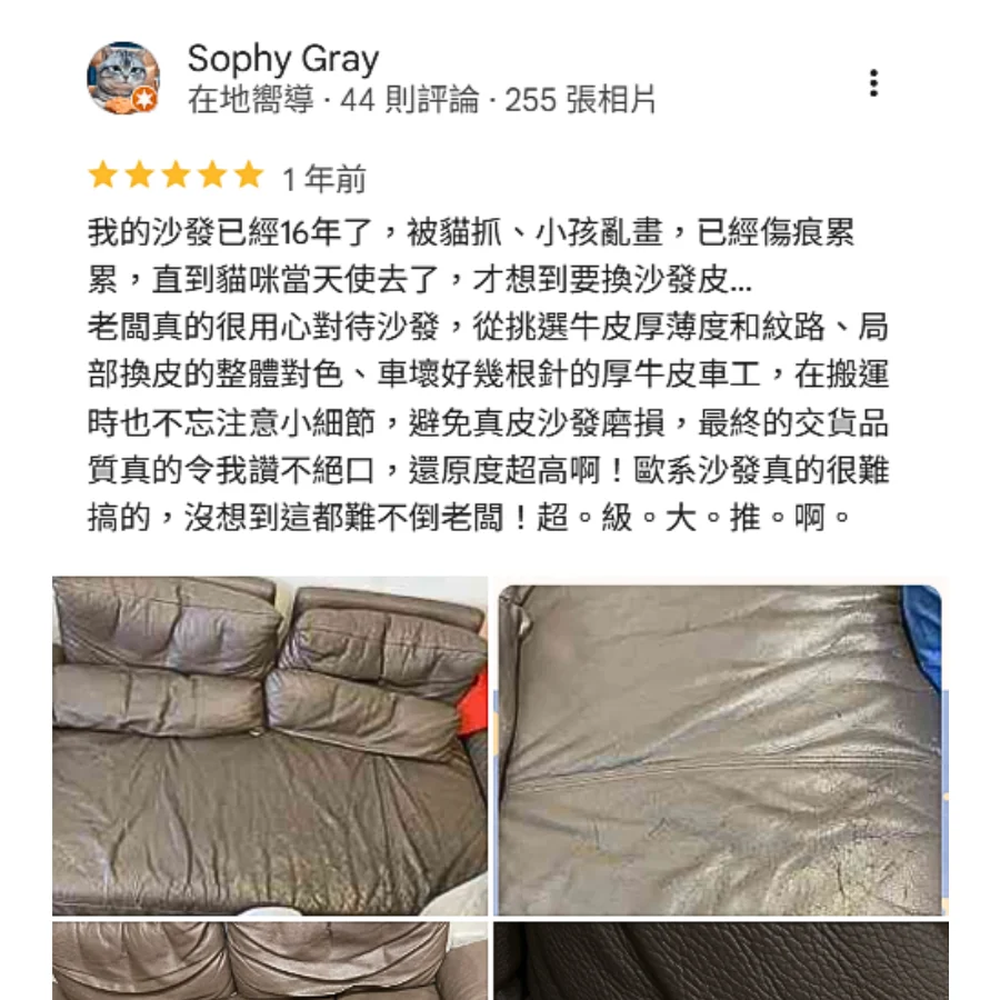 Sophy Review Evidence